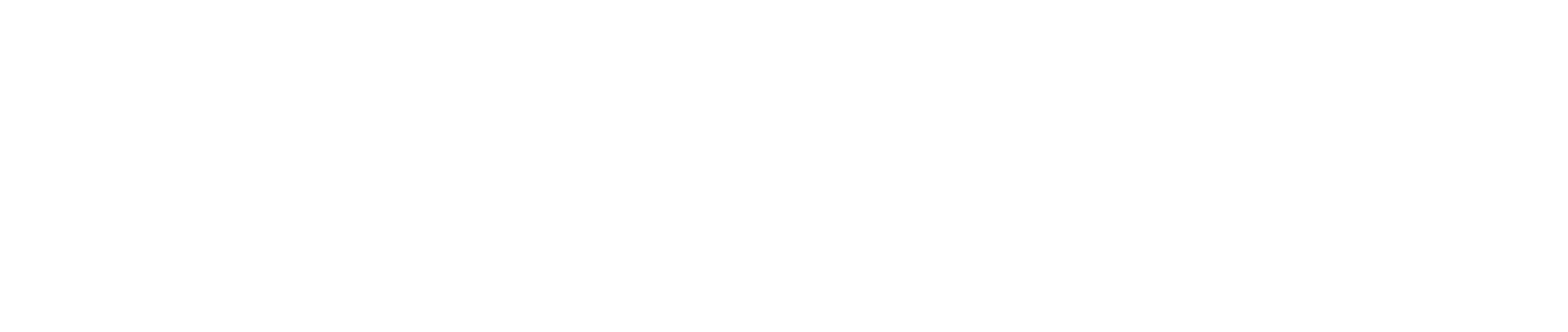 St. Louis Magazine Store